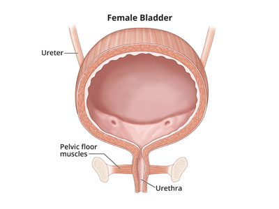 Incontinence of Urine Treatment In  Ghatkopar